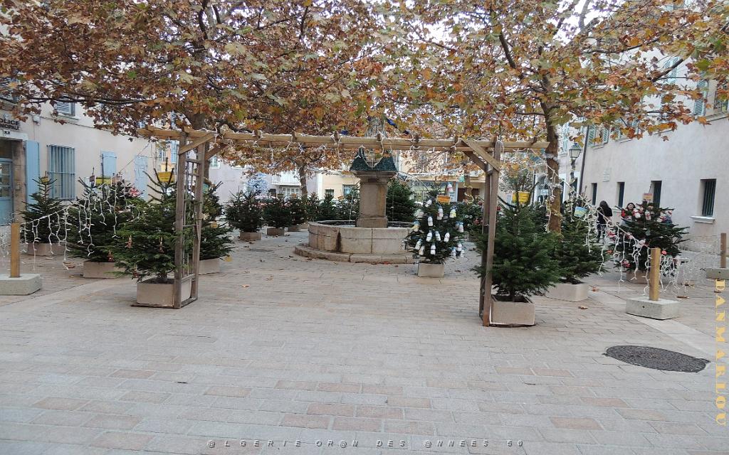 2025 12 09 OULLIOULES PROMENADE (26).jpg